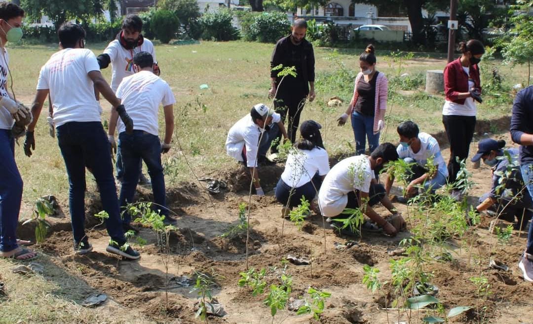 Miyawaki Afforestation